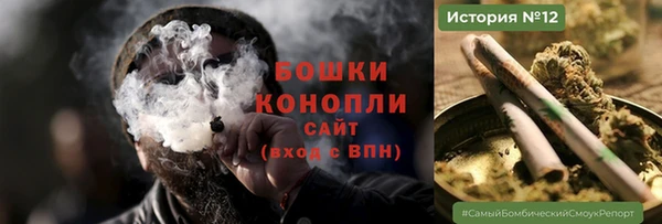 спайс Алексин
