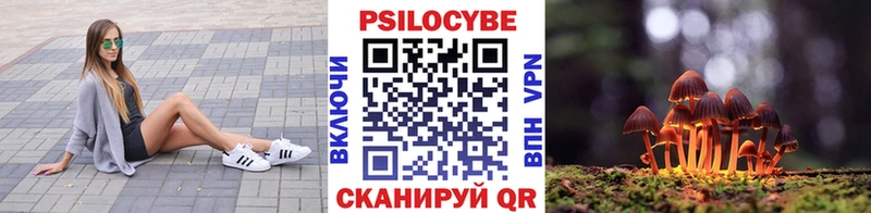 хочу   Казань  Псилоцибиновые грибы мицелий 