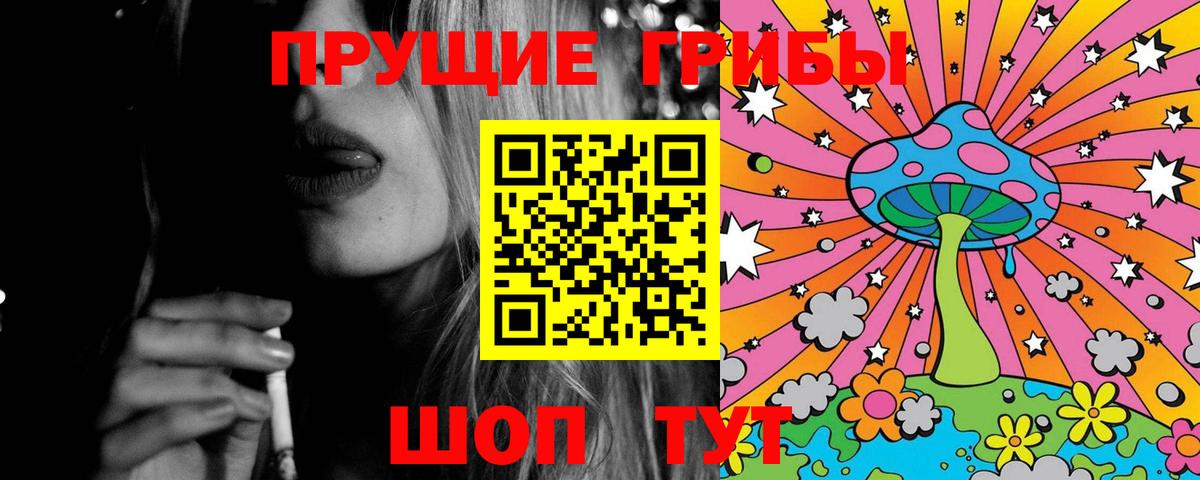 Галлюциногенные грибы GOLDEN TEACHER  Вход с VPN  купить  цена  Казань  Псилоцибиновые грибы Psilocybe 