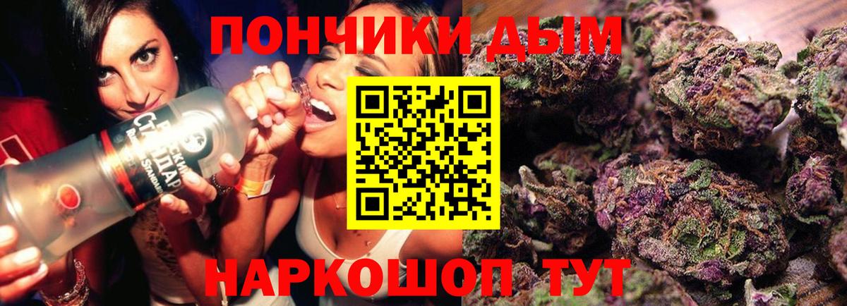 Бошки Шишки ГИДРОПОН  Вход с VPN  Конопля сатива  Канабис Ganja  Казань 